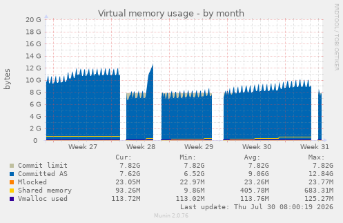 Virtual memory usage